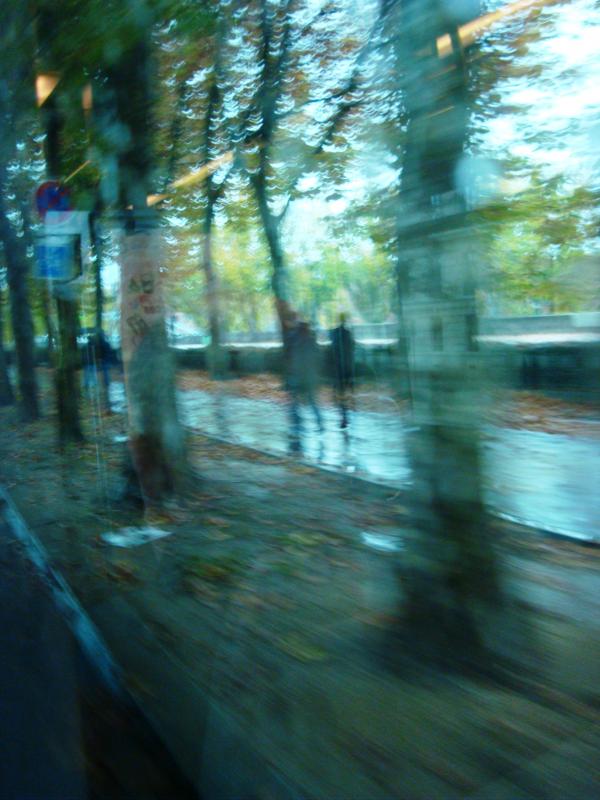 Midday Autumn Drive