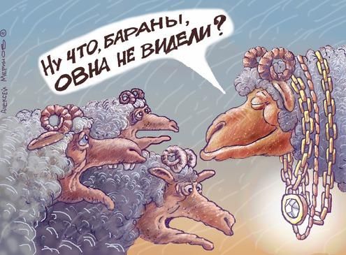 Круторогий баран обращается к "коллегам".