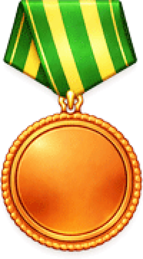 bronze medal