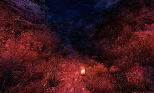 Lonely light