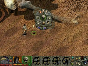 Functional halo